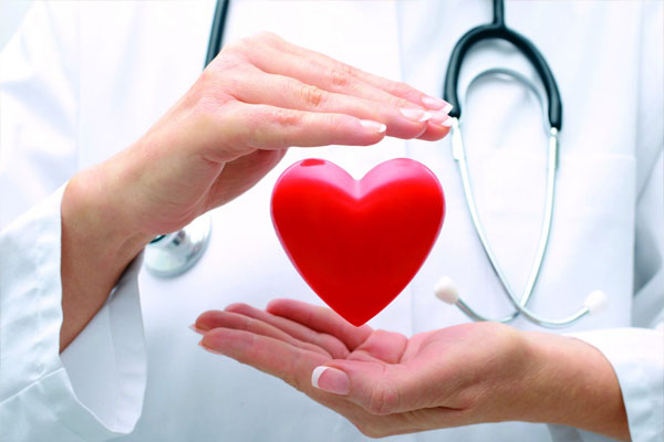 kardiyovasküler sağlık kalp pürüzsüz sağlık